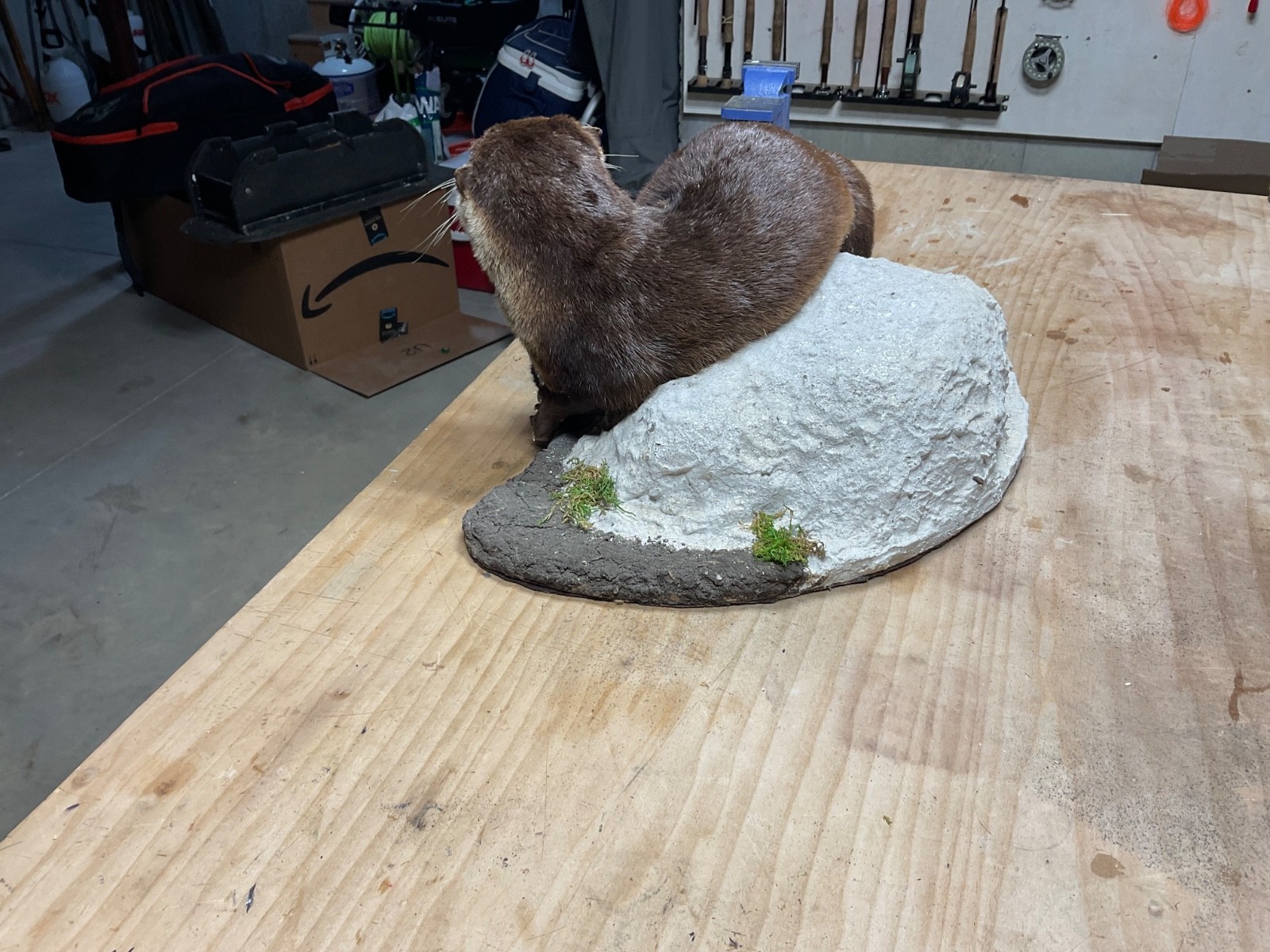 Utter full body mount in a natural setting