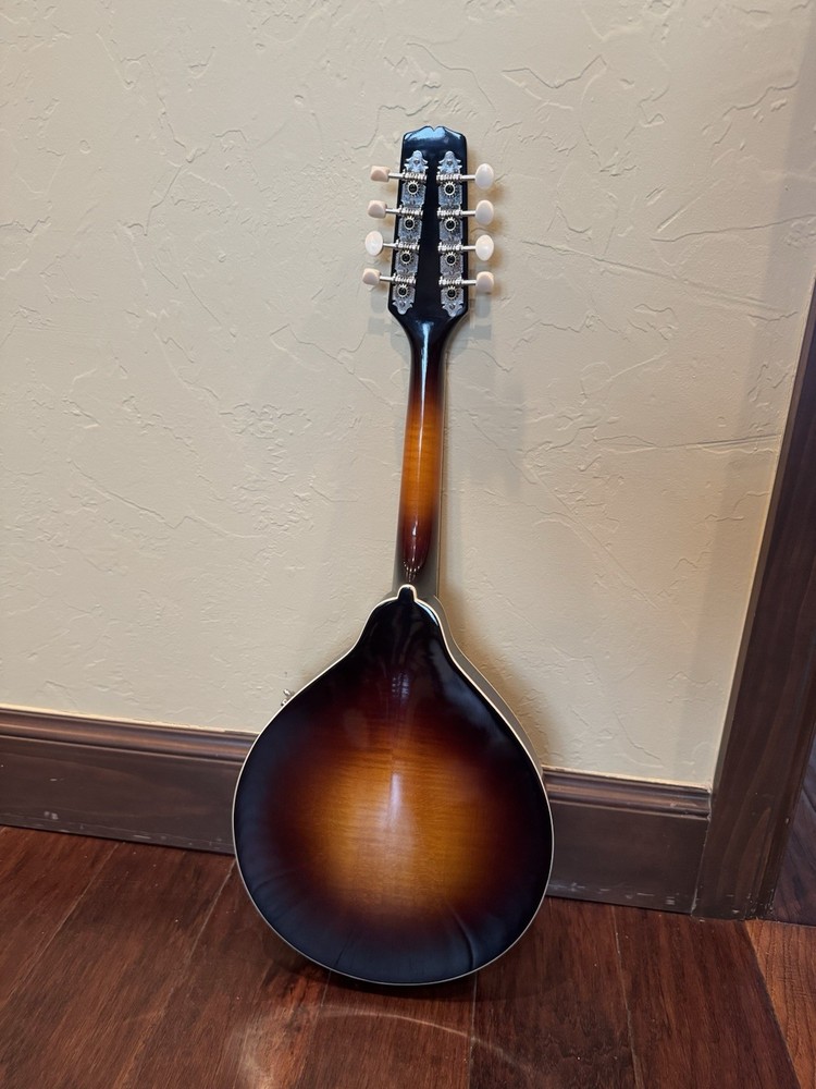 kentucky mandolin km 150