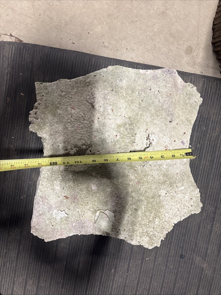 Large Plate Rock