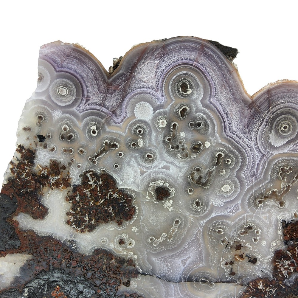 Laguna Agate, large slab, cabbing rough, #R-6957