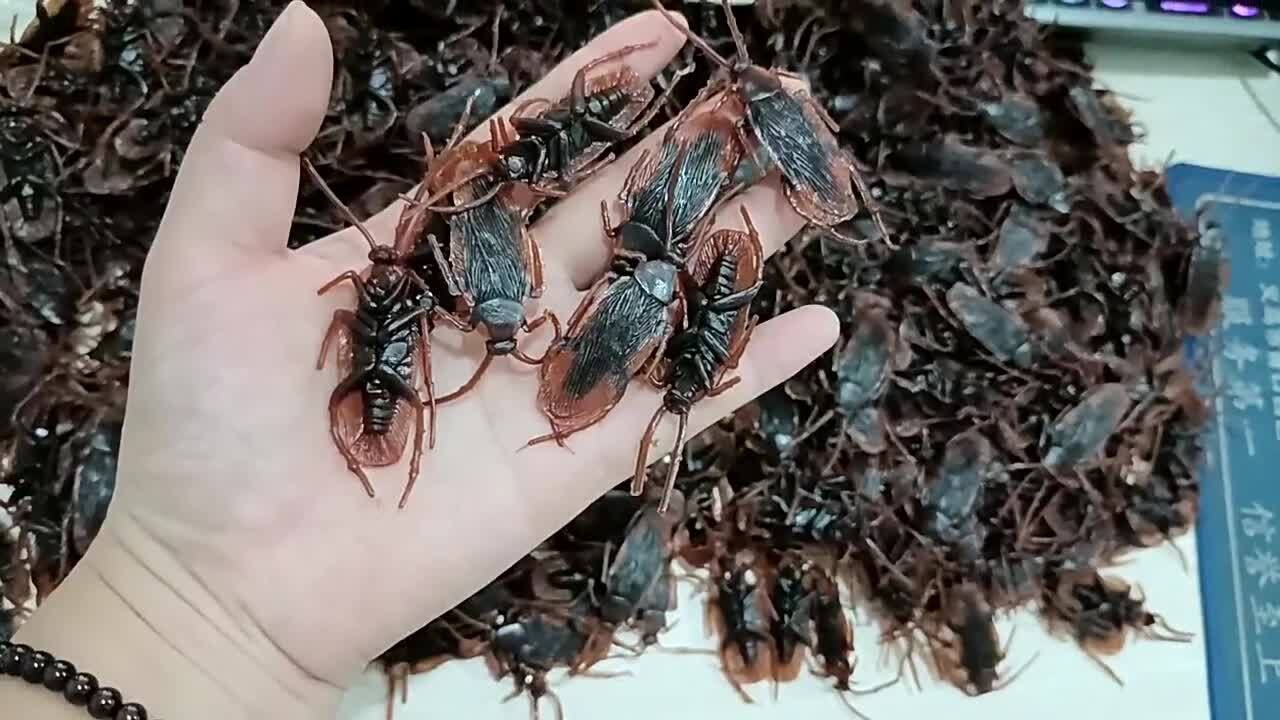 10 Prank Fake Roaches Plastic Cockroaches Creepy Roach Bugs Party Game Toy Gifts