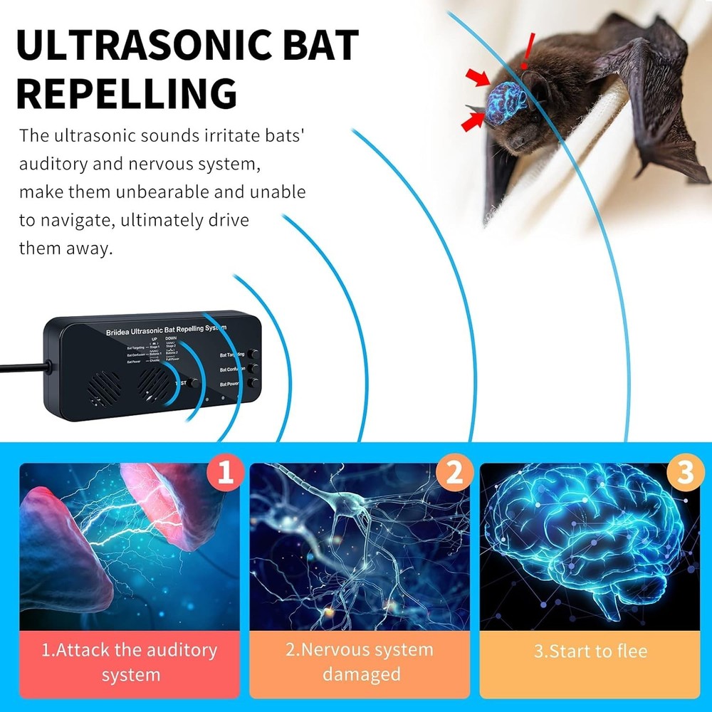 Ultrasonic Bat Removal System