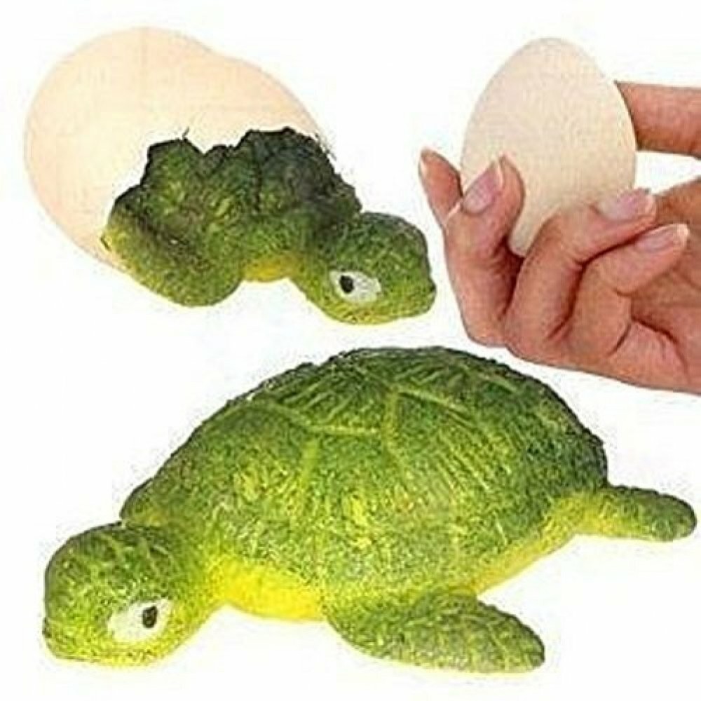 GeoCentral Tortoise Hatch 'Ems Egg Toy