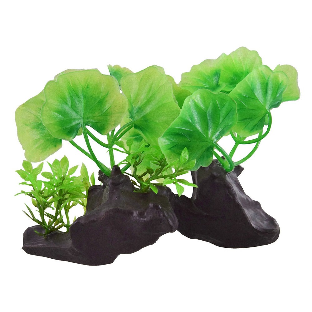 Underwater Treasures Crinkle Leaf Plant