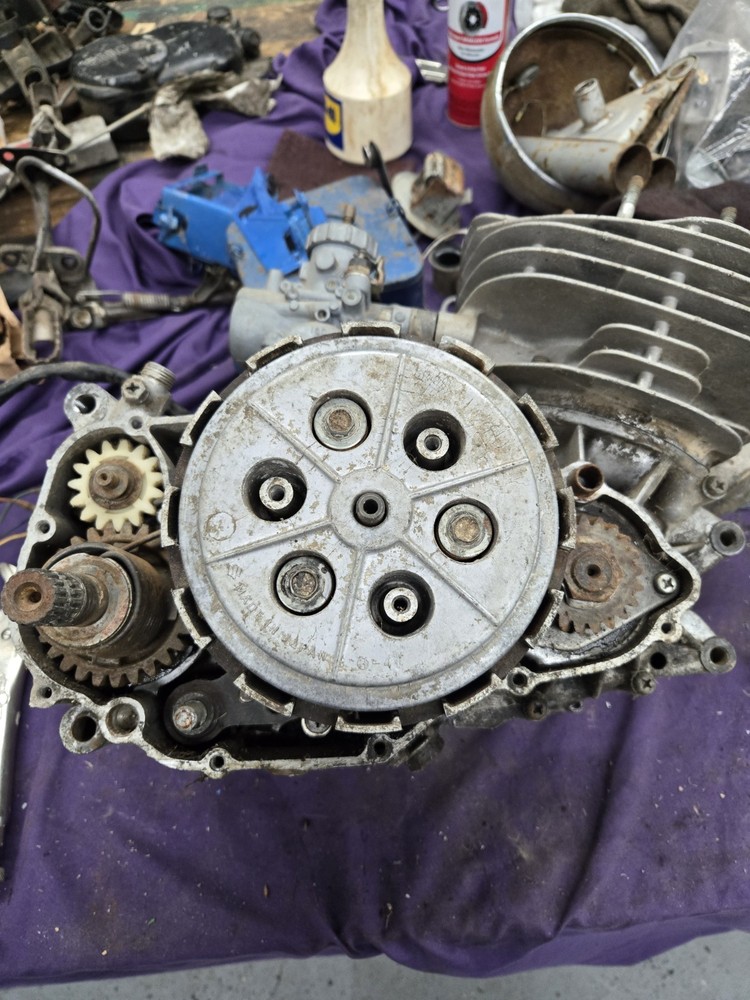 73 Suzuki TS 250 TS250 engine motor