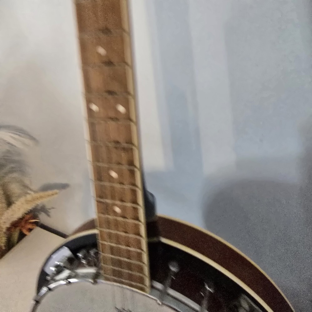 Davidson Banjo 4 String