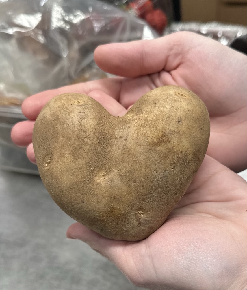Heart Shaped Potato Potato Easter potato