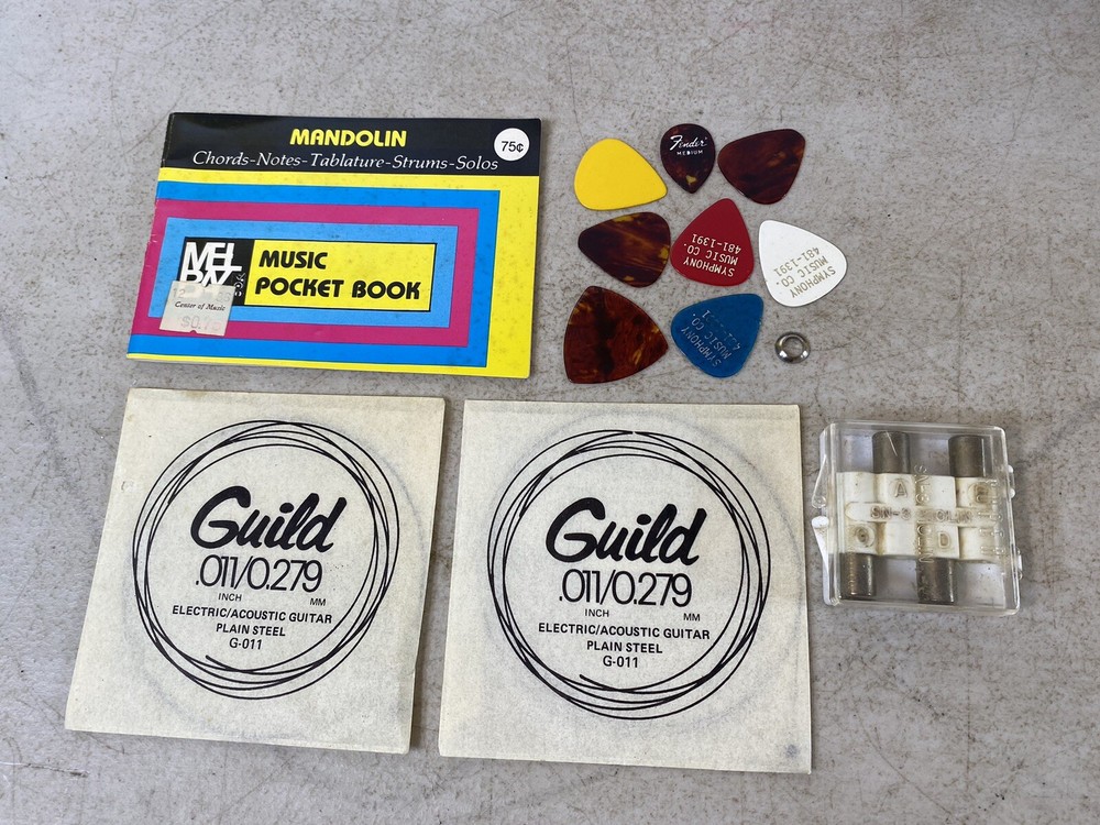 Mandolin BB B415 Instrument case & Accessories 41S9