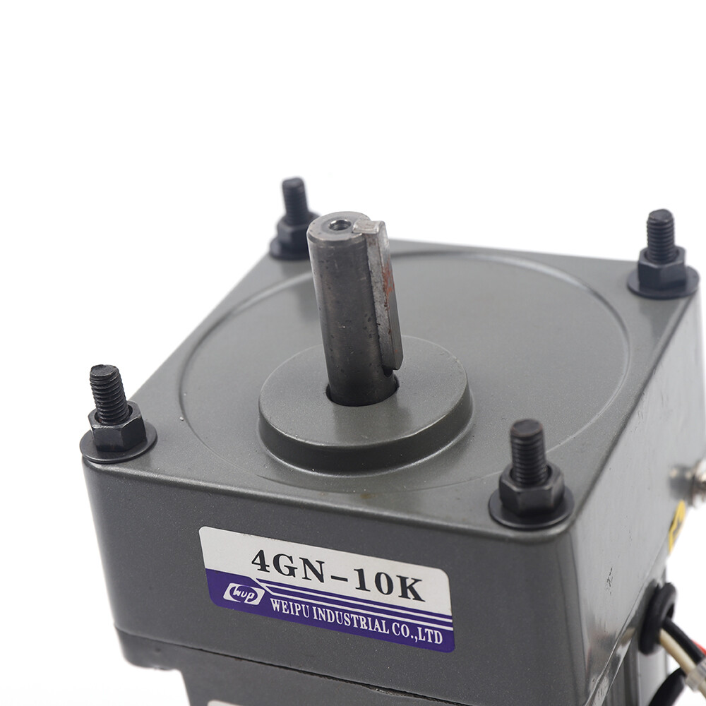 AC Reversible Gear Motor Electric Variable Speed Reduction Controller 1:10 25W