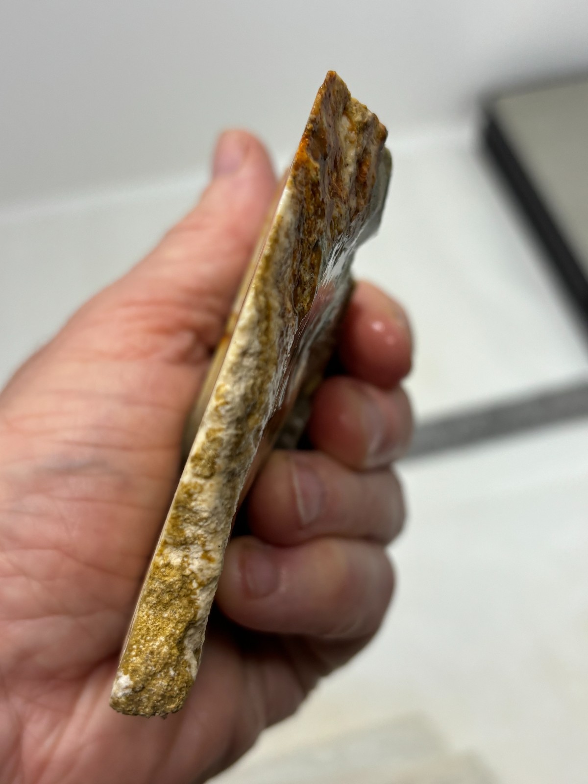 Disaster Peak Picture Jasper end slab Cabbing Lapidary Collecting Combo Ship Avl