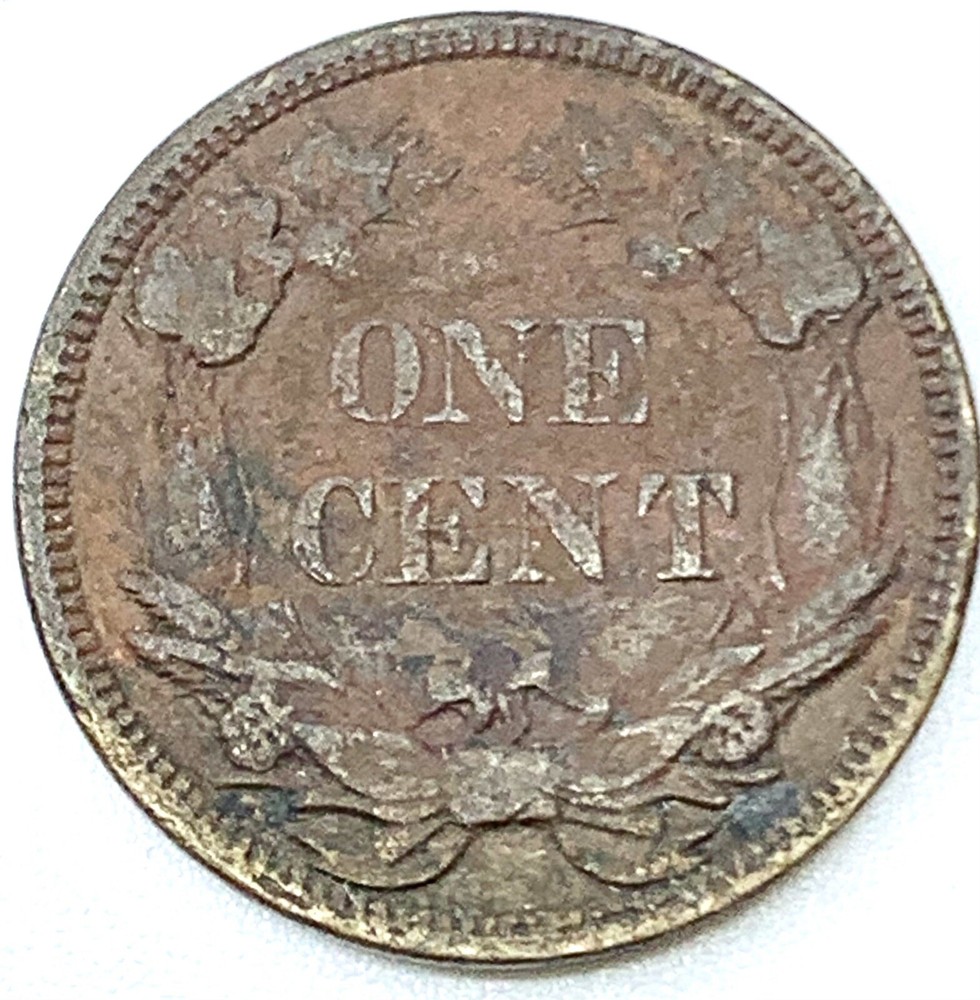 1858 SMALL LETTER LOW LEAF FLYING EAGLE CENT KEY TYPE COIN RAW UNCLEANED F