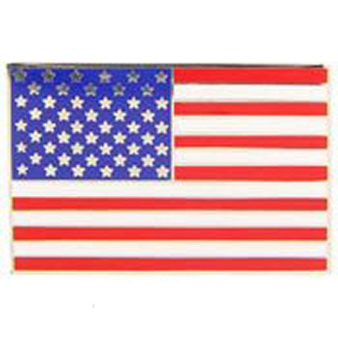 Large United States Flag Pin