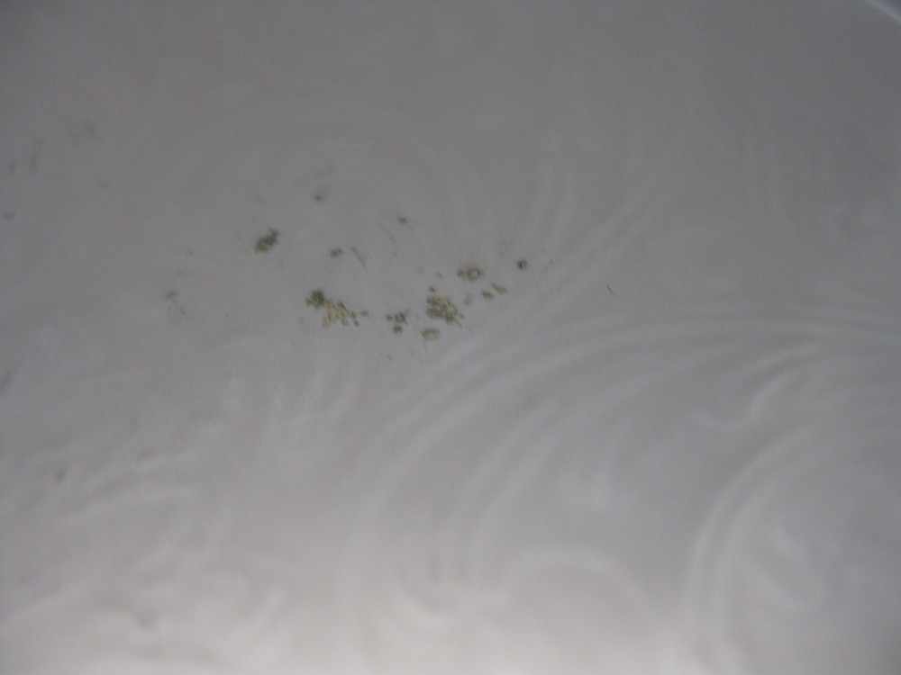 Oneida Silver Plate Serving Tray 20 5/8" length 14 1/2" Diameter