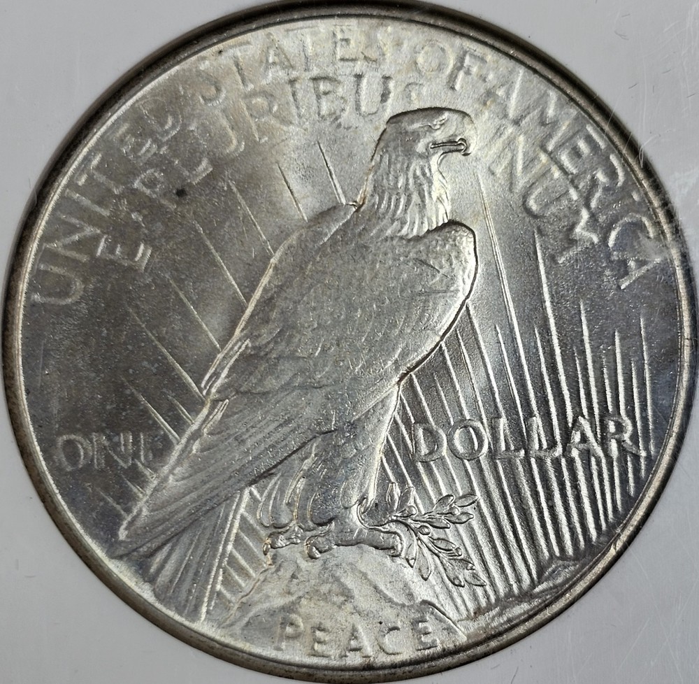 1934 Peace Dollar MS-64 NGC VIDEO