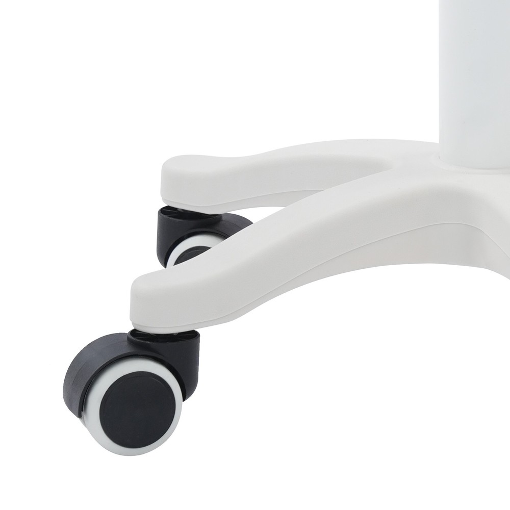 Adjustable Beauty Salon Chair, Rolling Stool, Rolling Stool with Low Backrest