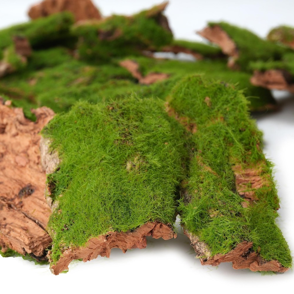 BYHER Assorted Artificial Moss Bark, Decorative Mossy Realistic Green - 100gr