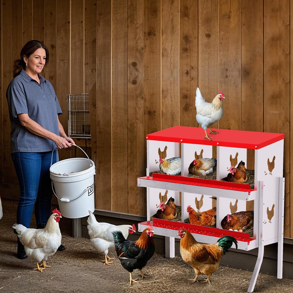 6 Holes Chicken Nesting Box, Metal Chicken Nesting Boxes, with Bracket Legs