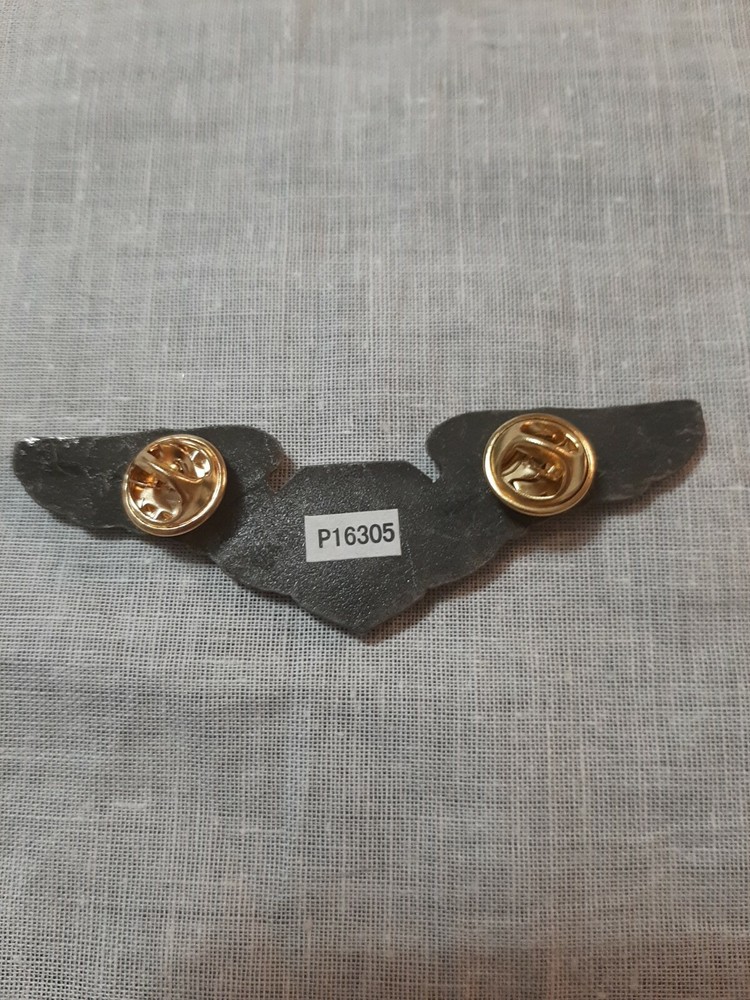 Basic Aircrew U S Air Force Military Hat Pin