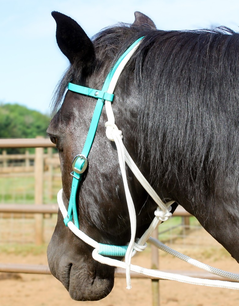 Sage Green Biothane Loping / Hackamore Bridle