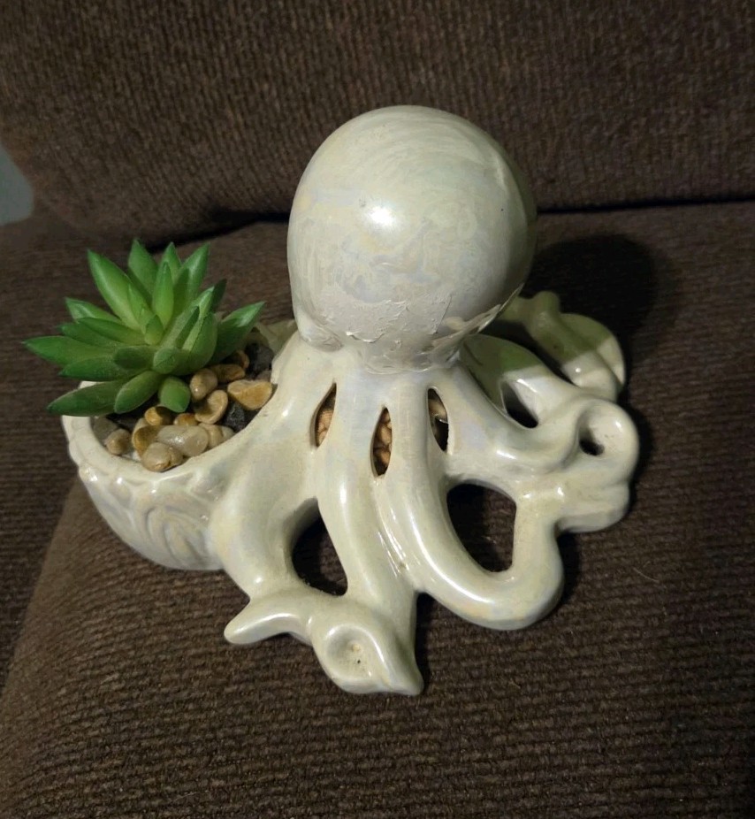 Octopus Succulent Planter Octopus Decoration