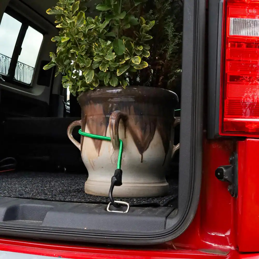 48 In. Jumbo Bungee (1-Pack)