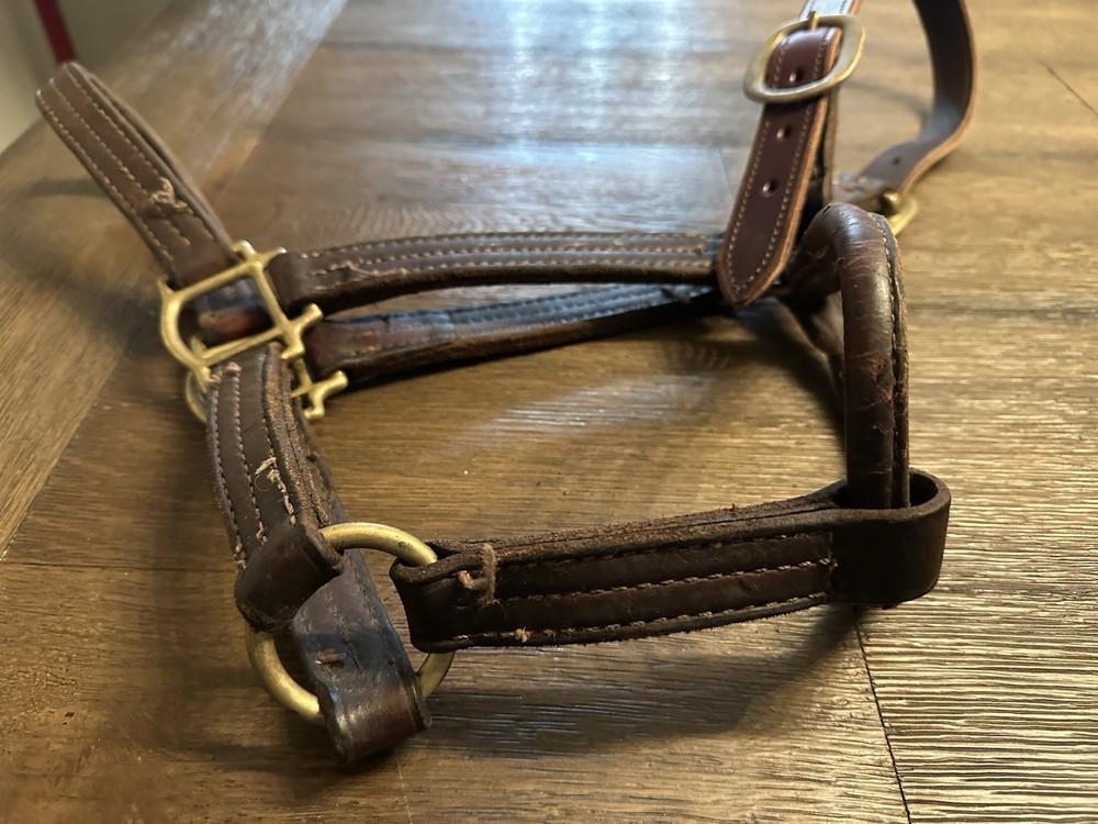 Horse Tack - Large Leather Halter