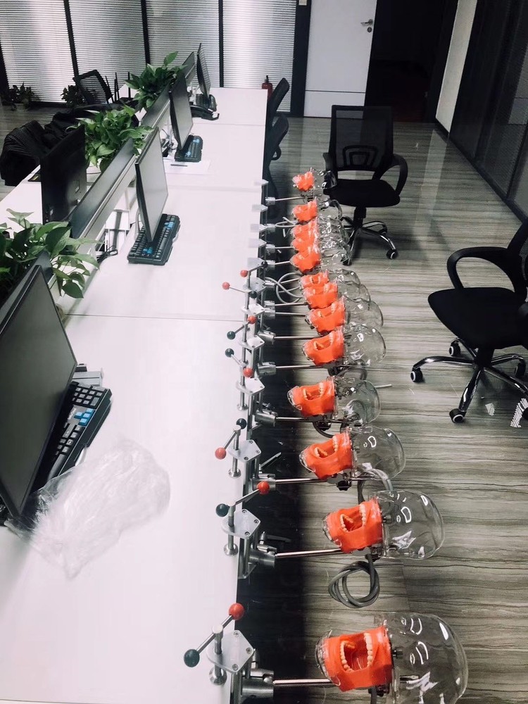 Dental Simulator Manikin Phantom Head Model Training Model Installing on Table