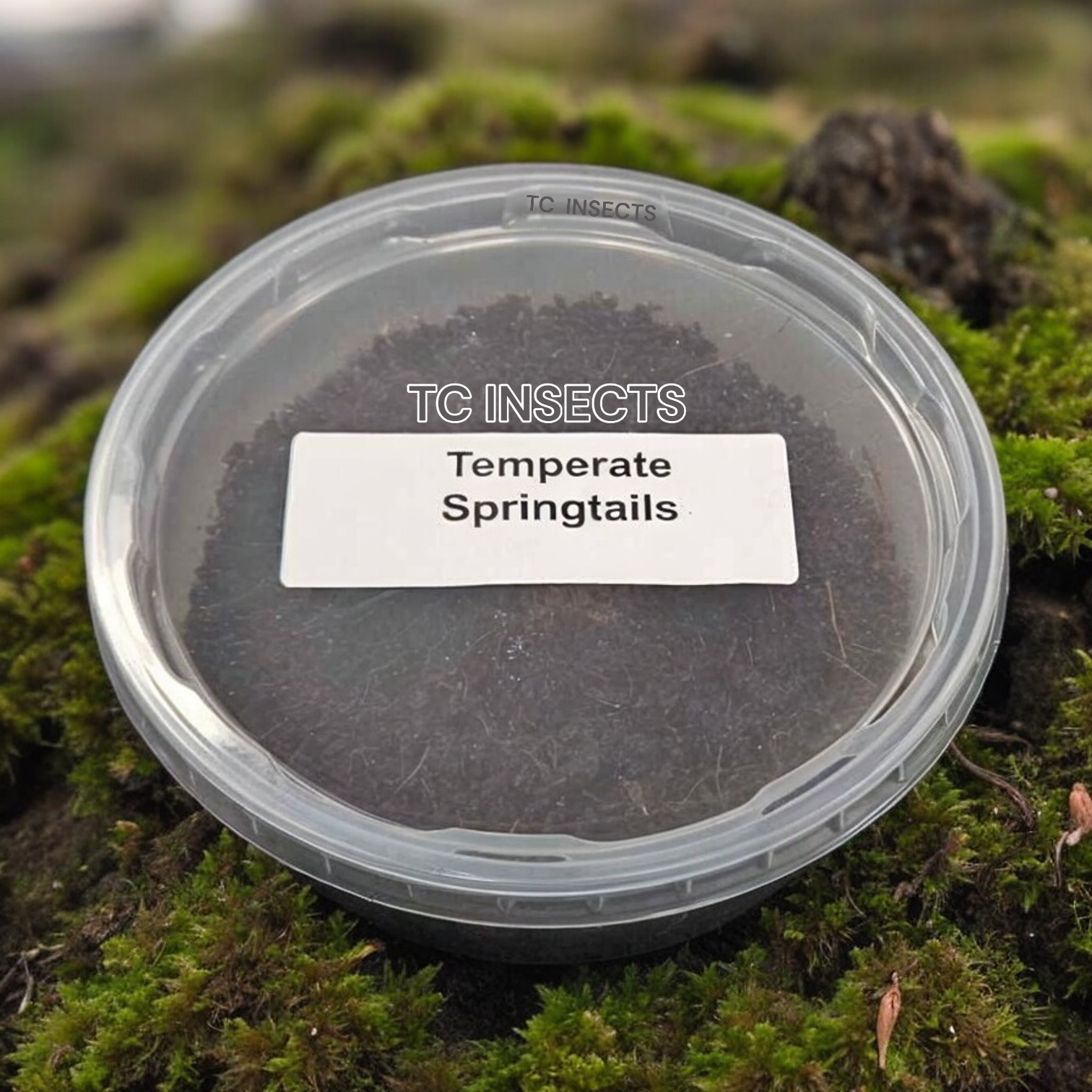 Springtails | Coco Temperate 8oz | Live Arrival & FREE SHIPPING NATIONWIDE!