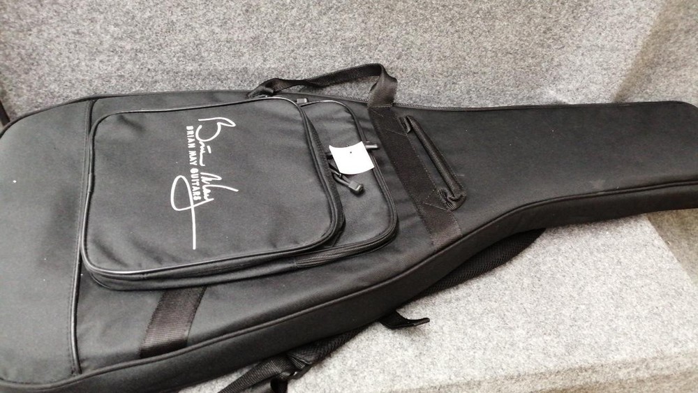 BRIANMAY GUITARS BM-3TS