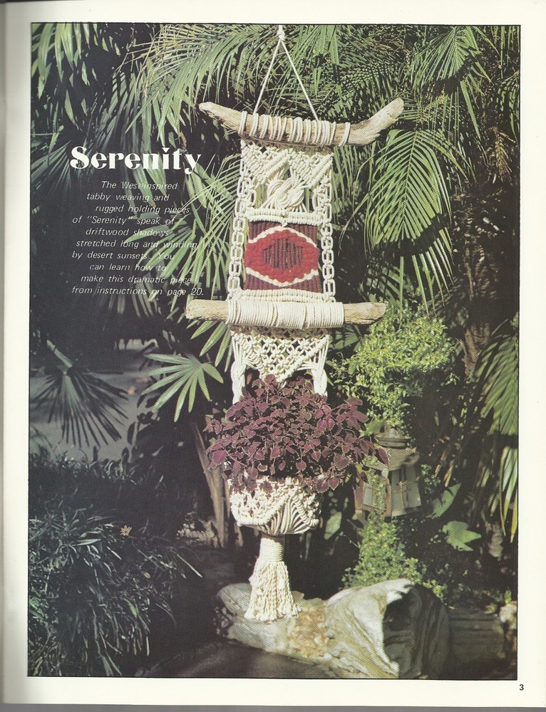 Macrame Plus Vintage Pattern Projects Instruction Book Craft Course 1976 NEW