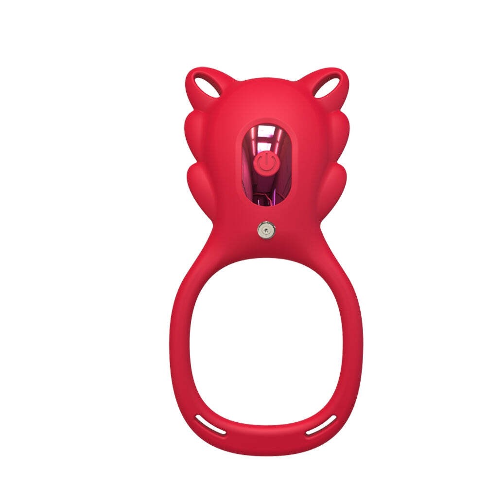 2 in 1 Remote Control Panty and Vibrating Ring Vibrator