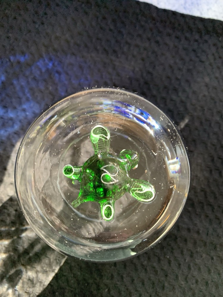 MiniZooUSA Glass Turtle Figurine Drinking Glass