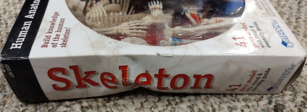 Skeleton, Human Anatomy Model By Learning Resources, Complete, Damaged Box