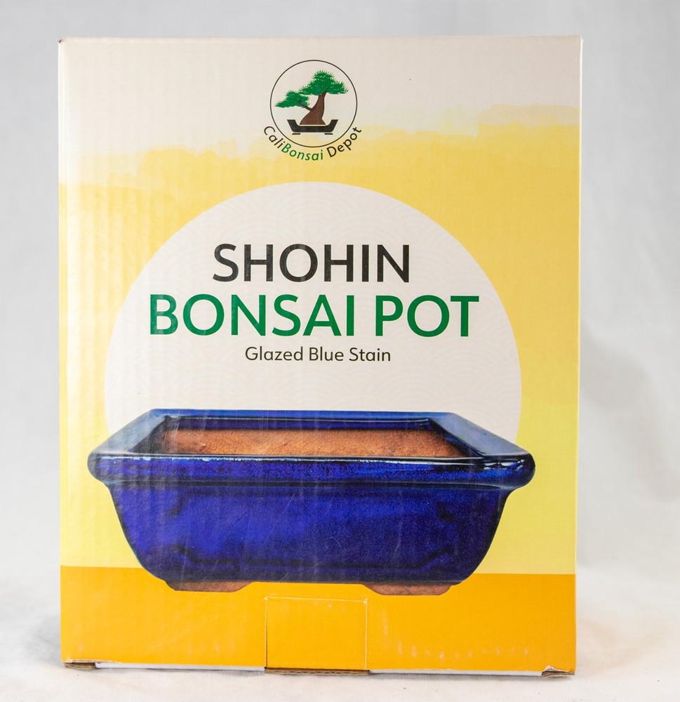 Rectangular Glazed Succulent, Bonsai Pot + Mesh + Wire 6"x 4.5"x 2.25" - Blue