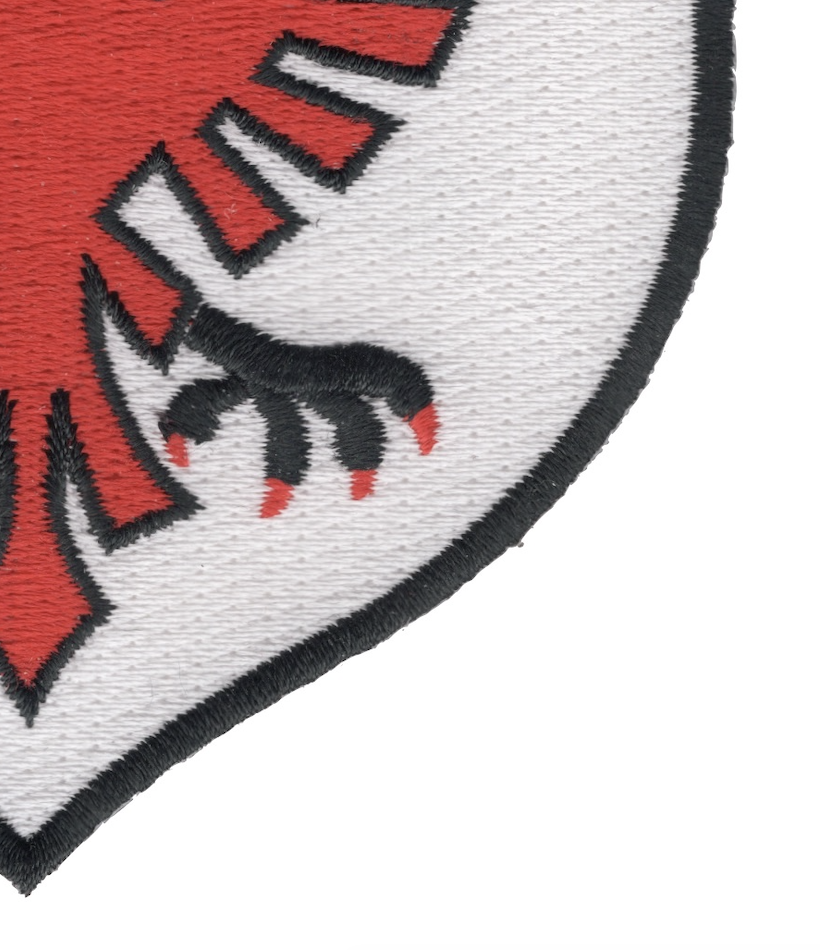 513th Fighter INTCP Squadron Patch