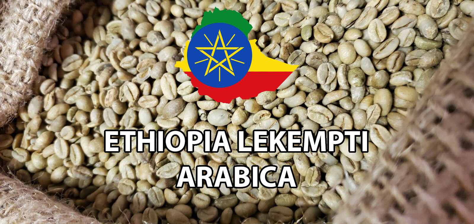 5 lb Ethiopia Ethiopian Lekempti Unroasted Green Coffee Beans