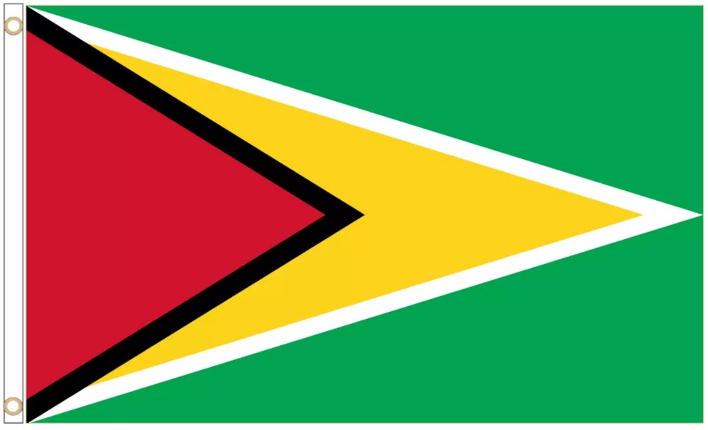 Guyana Polyester Flag - Choice of Sizes