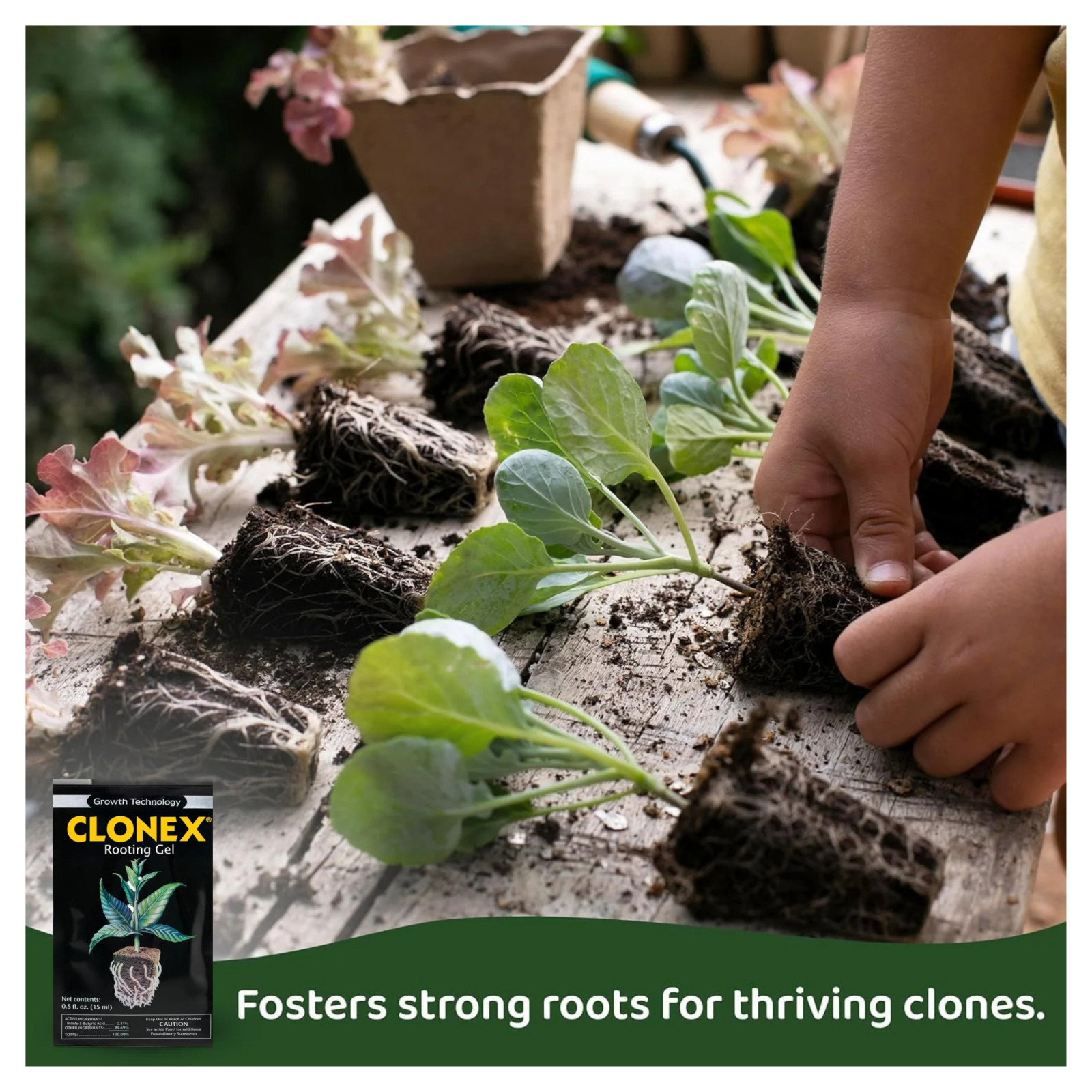 Clonex Rooting Gel 15ml Packet | Plant Cloning Gel for Cuttings & Seedlings