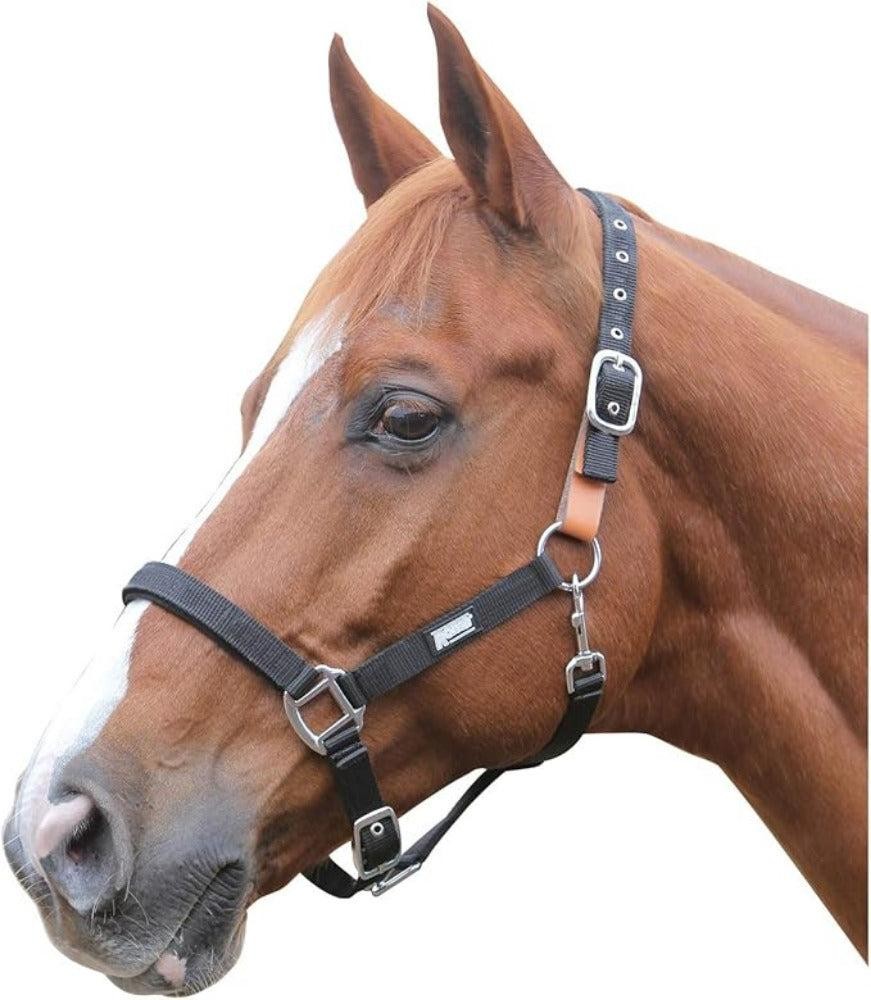 Roma Breakaway Headcollar CLOSEOUT