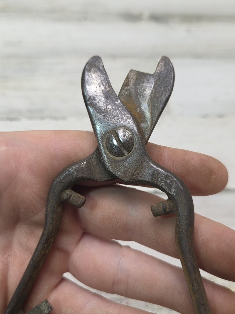 Vintage Vine Pruning Shears Snips 6" Antique