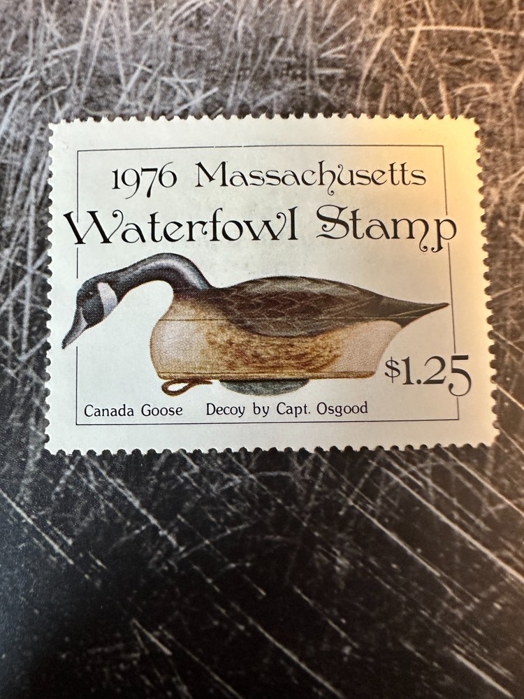 1976 Massachusetts State Duck Stamp,