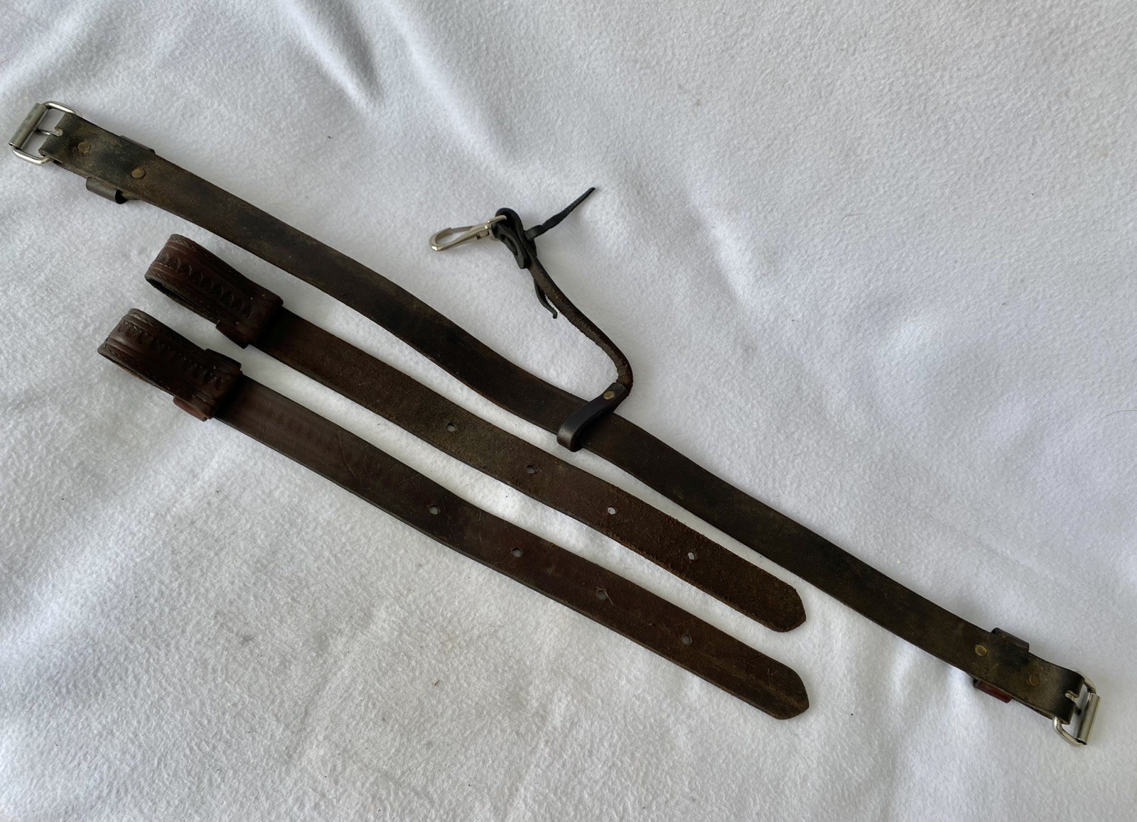 CIRCLE Y Shell TOOLED Walnut Leather Back Flank Cinch & Billet SET~LIGHTLY USED