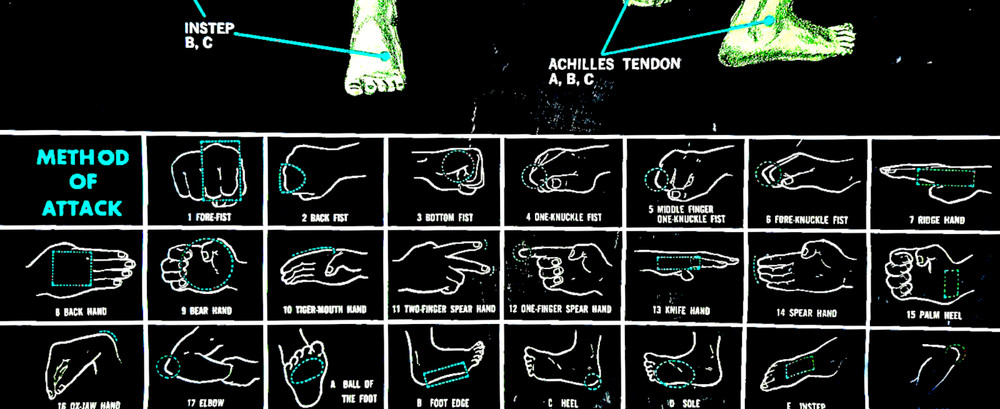 Karate Striking Points Poster 30"x21"