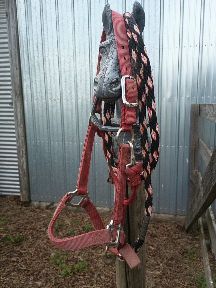 Weaver Halter and Lead Rope Used Set