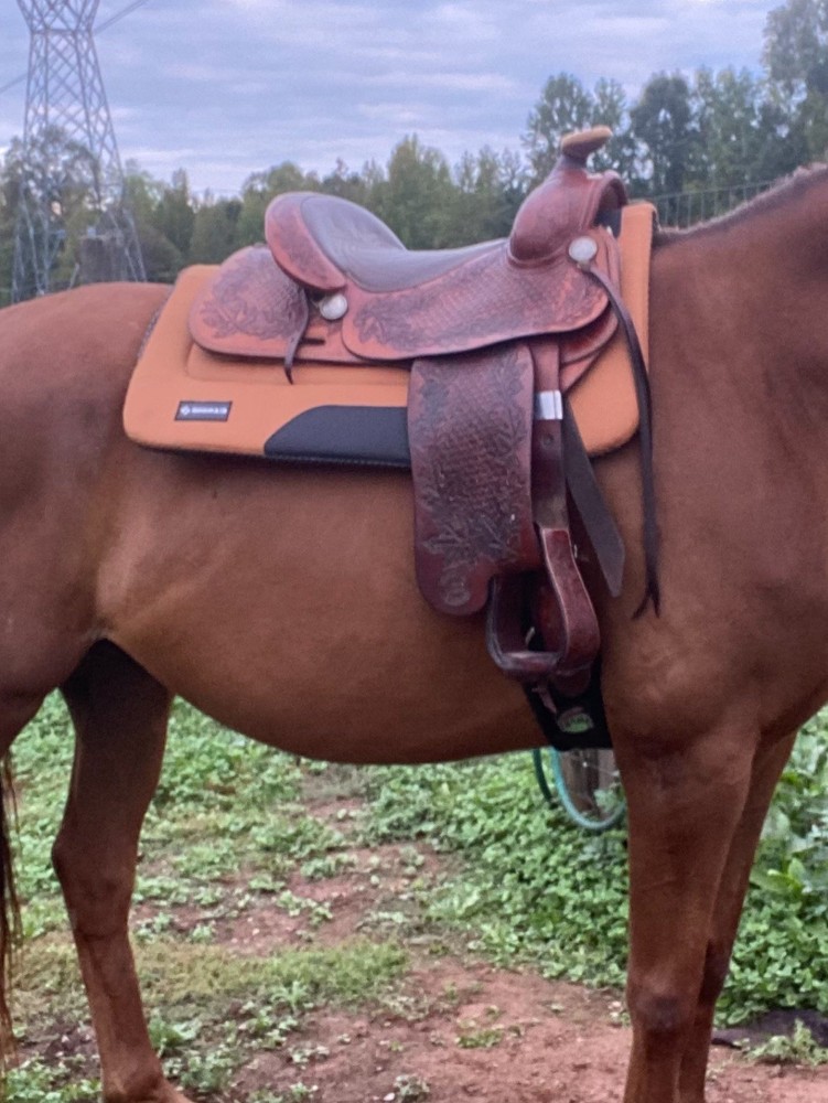 Diamond Neoprene Saddle Pad
