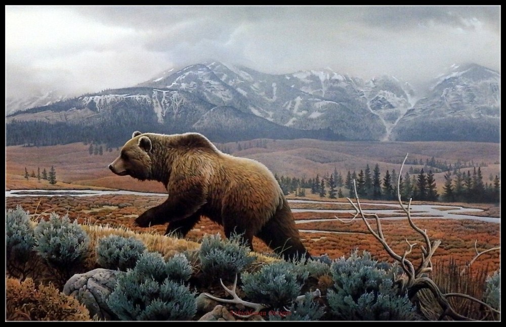 Chart Needlework - Counted Cross Stitch Patterns - Yellowstone Mist-Grizzly