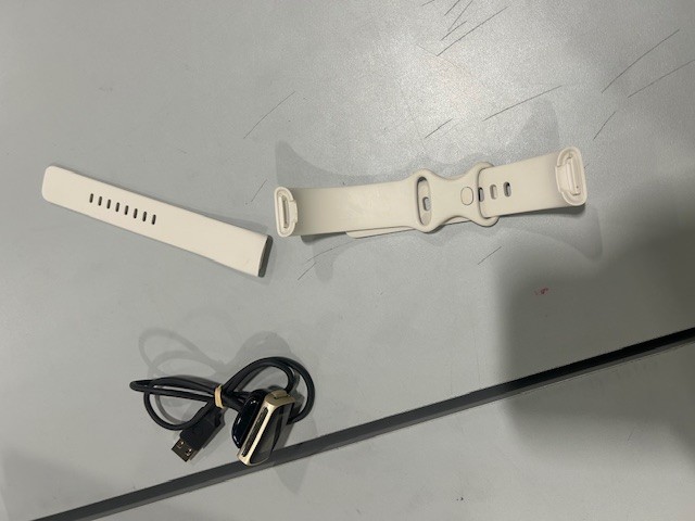 FITBIT CHARGE 5 WHITE BAND SILVER WATCH - WHITE/SILVER