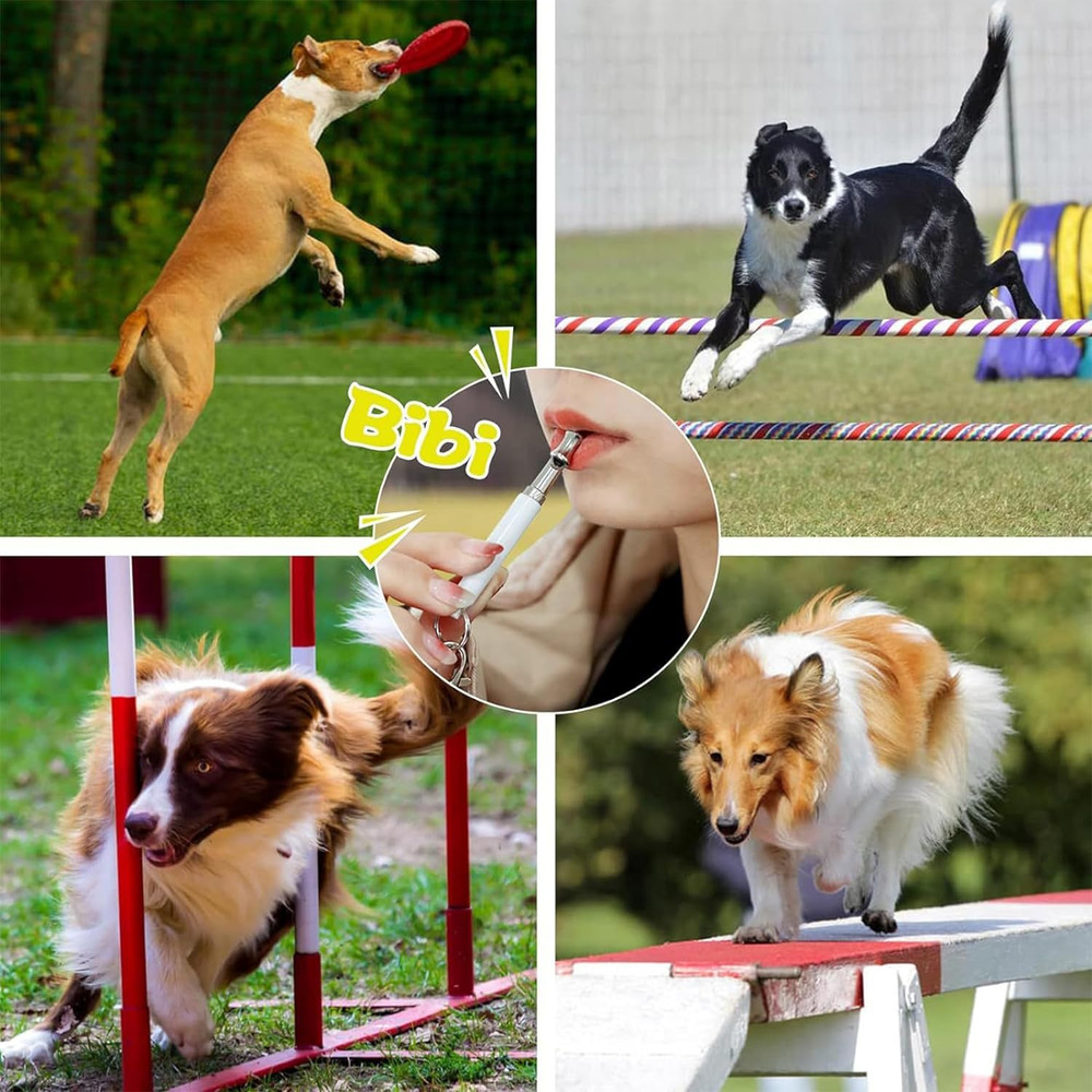 Ultrasonic Dog Whistle 2-Pack for Bark Control and Training