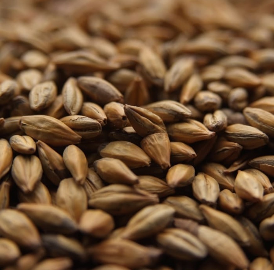 Amber Malt by Crisp Malting Co.