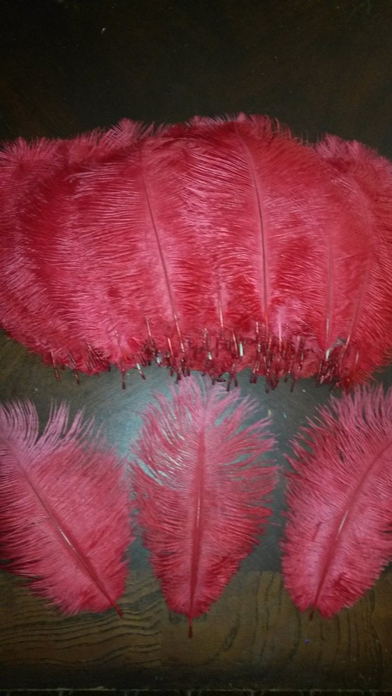 ostrich feathers Red Nice 6-10" 224 ct